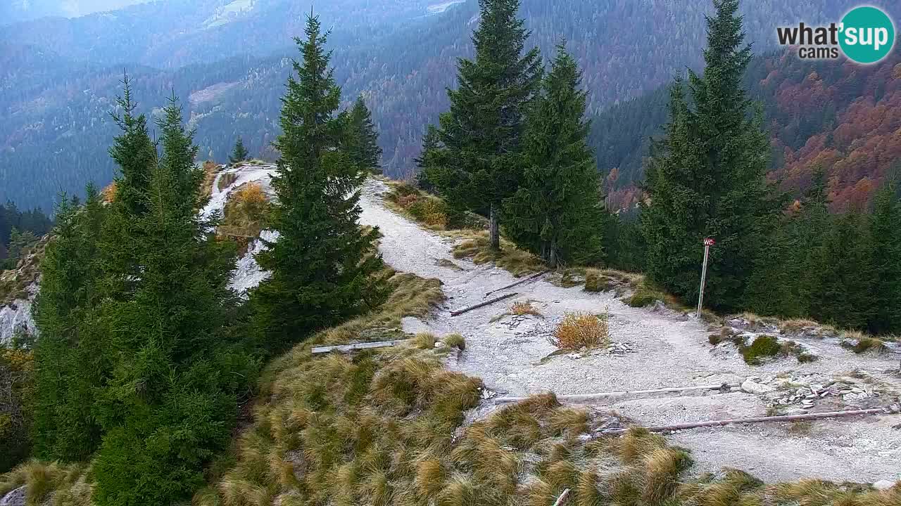 Koča na Golici Webcam (1582 m) – Slowenien