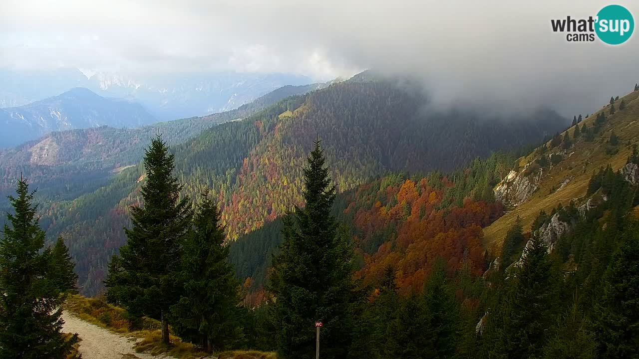 Spletna kamera Koča na Golici (1582 m) – Jesenice