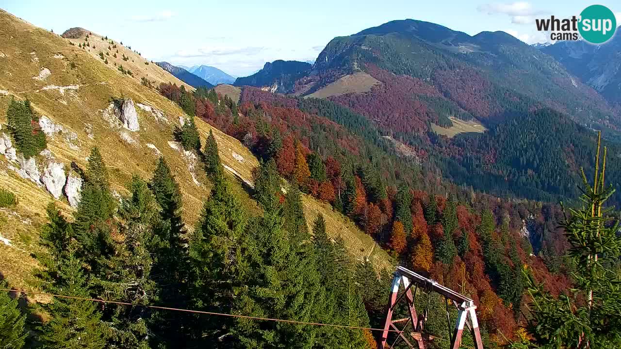Webcam Koča na Golici (1582 m) – Slovenia
