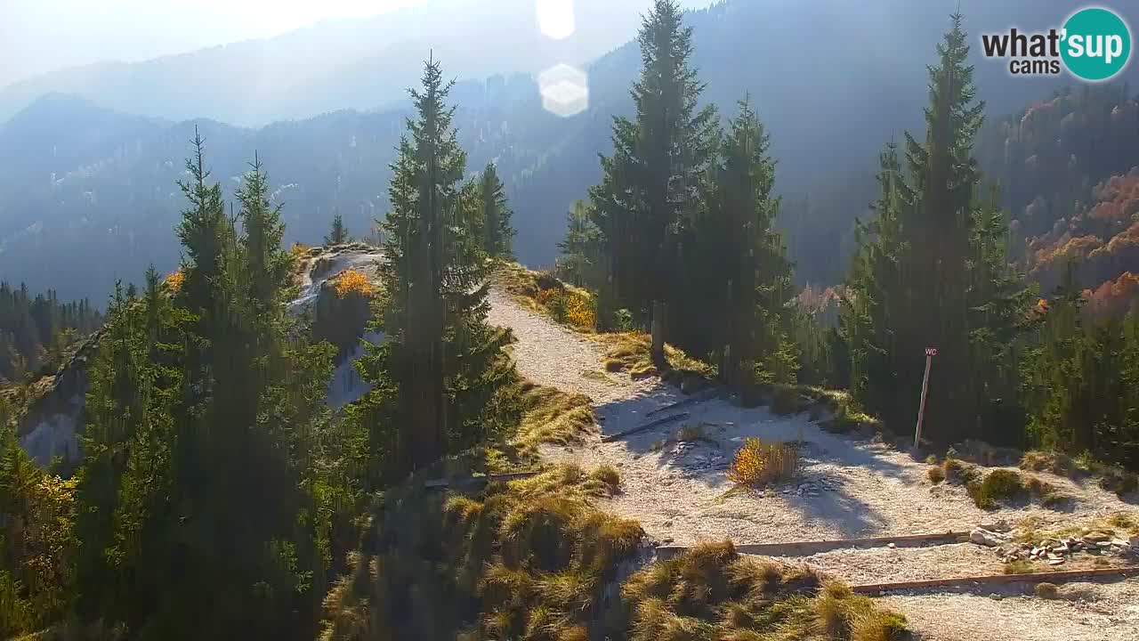 Webcam Koča na Golici (1582 m) – Slovenia