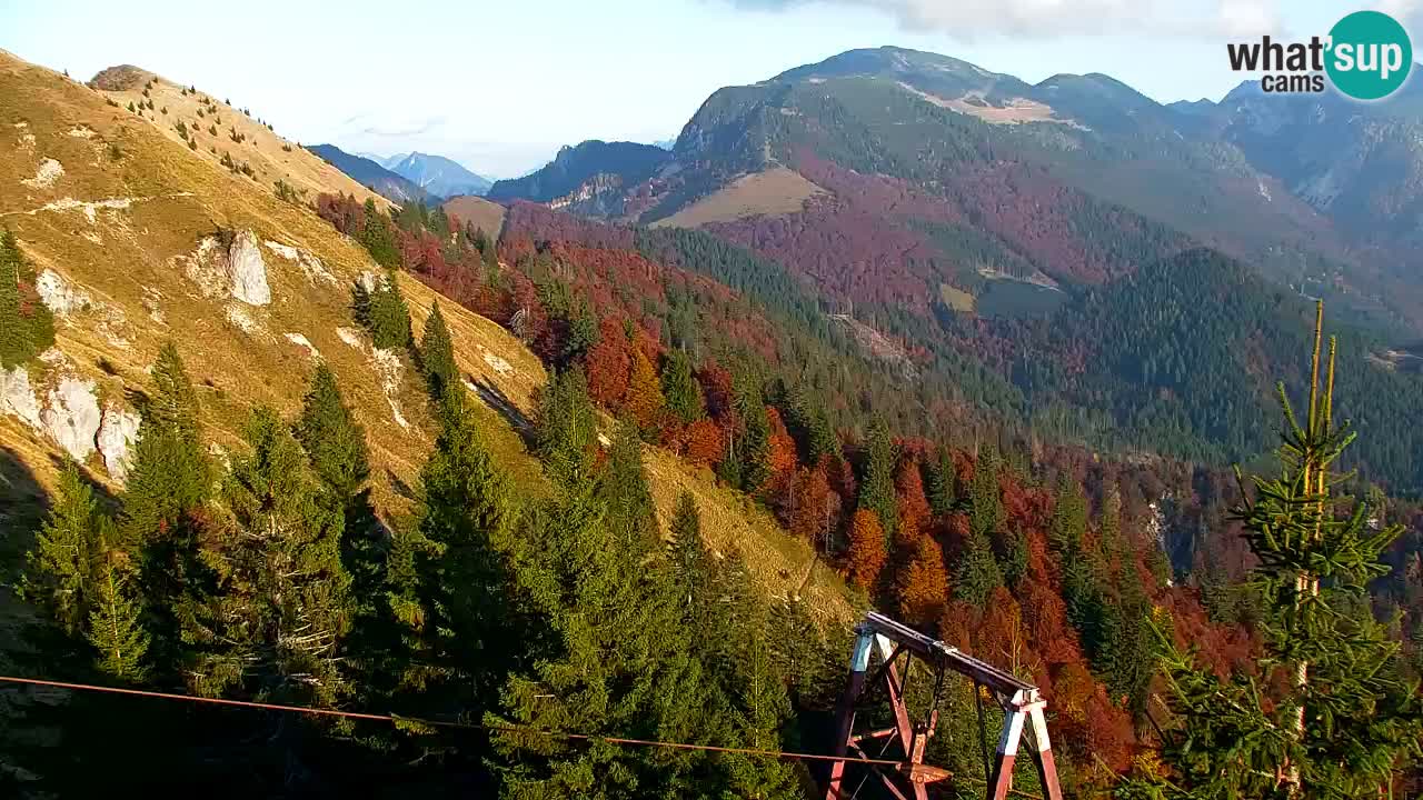 Webcam Koča na Golici (1582 m) – Slovenia