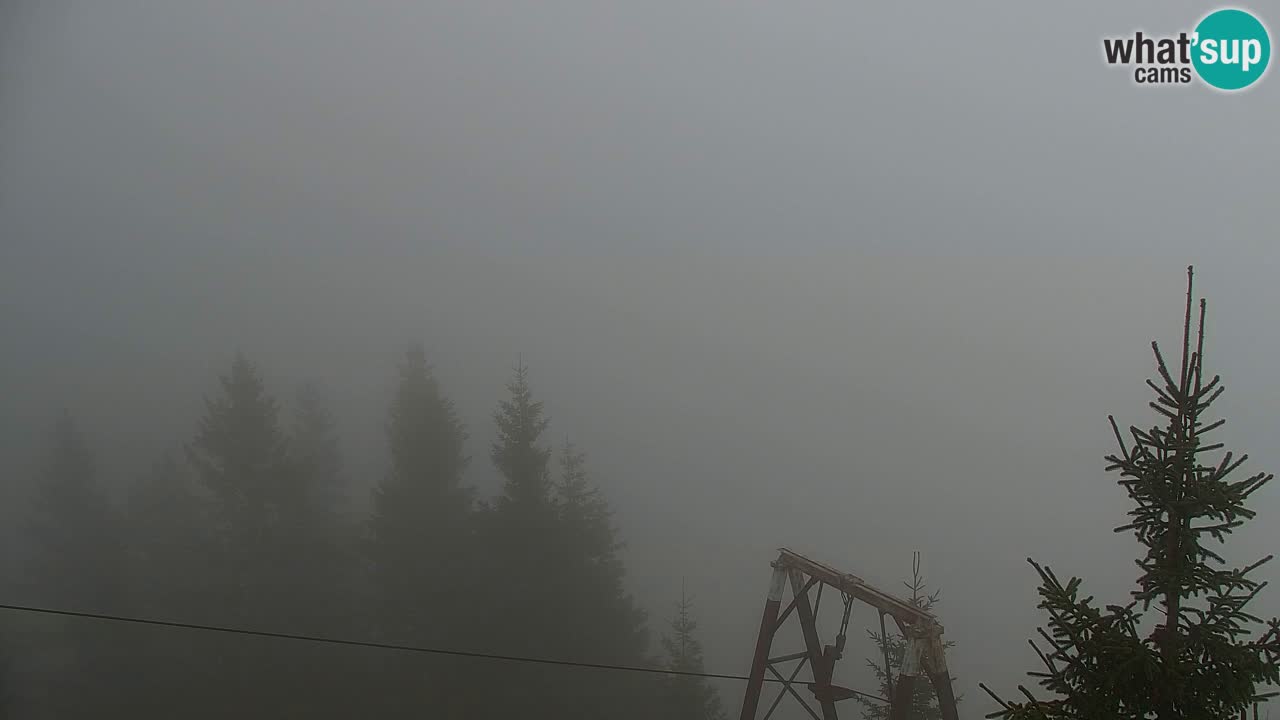 Web kamera Koča na Golici (1582 m) – Slovenija