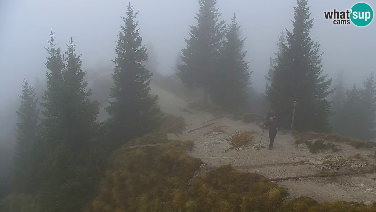 Koča na Golici Webcam (1582 m) – Slowenien