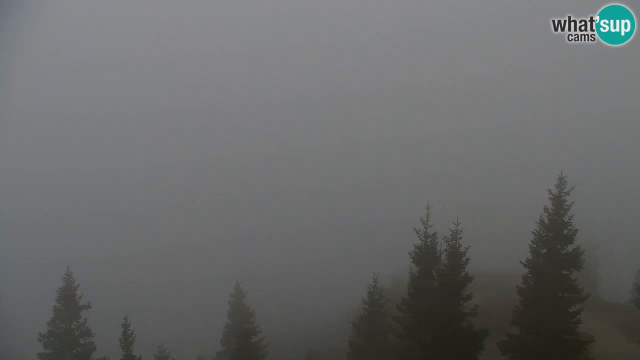 Webcam na Golici – Baita di montagna (1582 m) – Slovenia