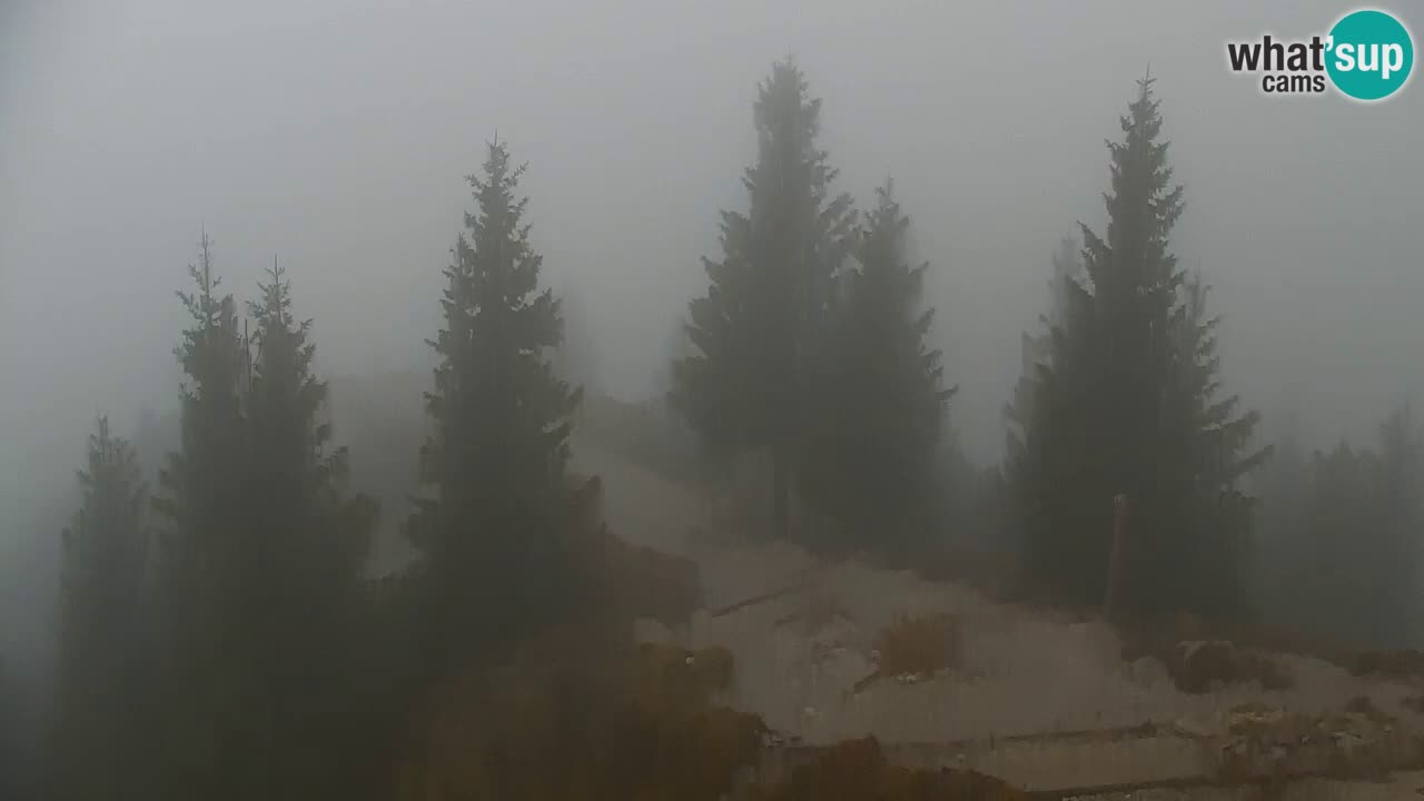 Spletna kamera Koča na Golici (1582 m) – Jesenice
