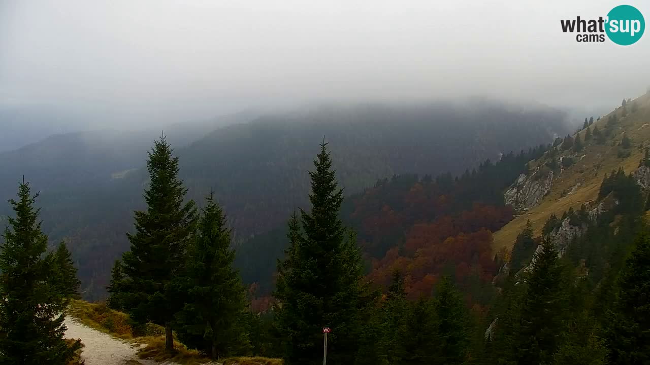 Koča na Golici Webcam (1582 m) – Slowenien