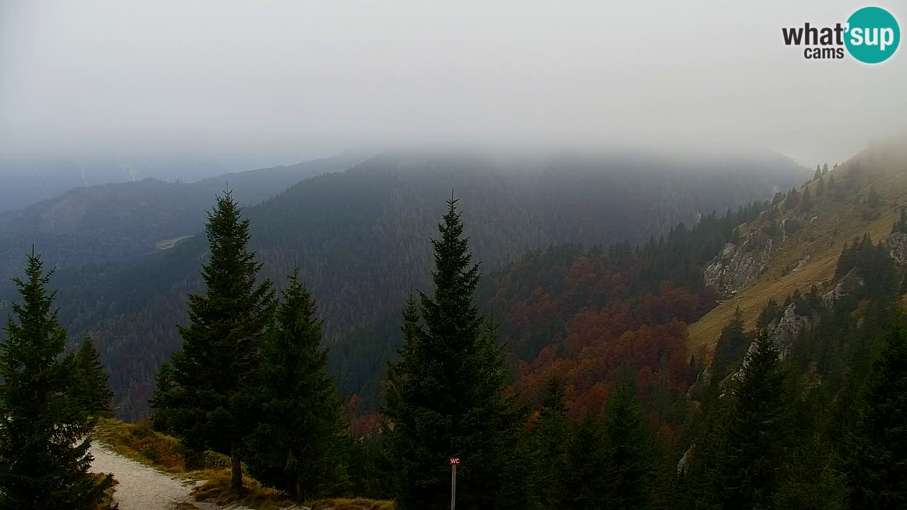 Webcam Chalet sur Golica (1582 m) – Slovénie