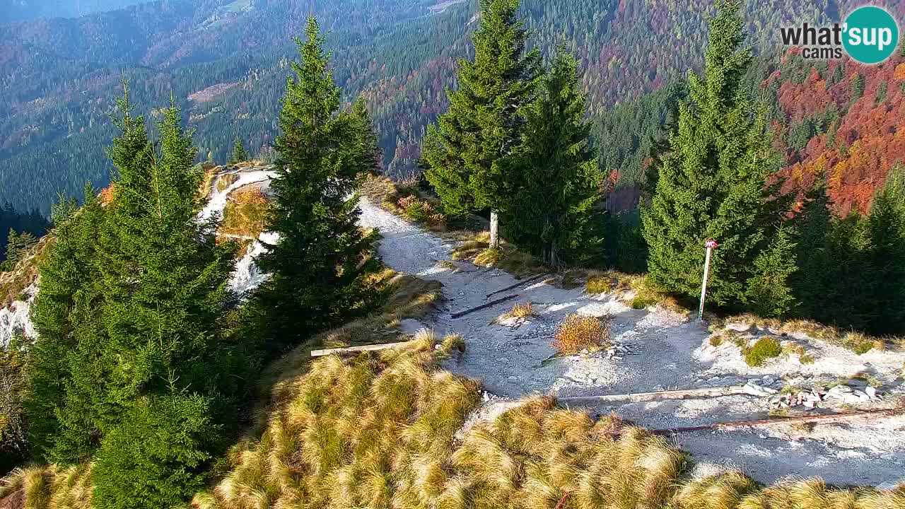 Koča na Golici Webcam (1582 m) – Slowenien