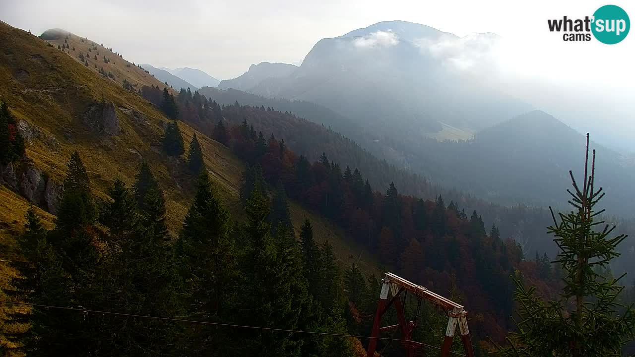 Webcam Koča na Golici (1582 m) – Slovenia