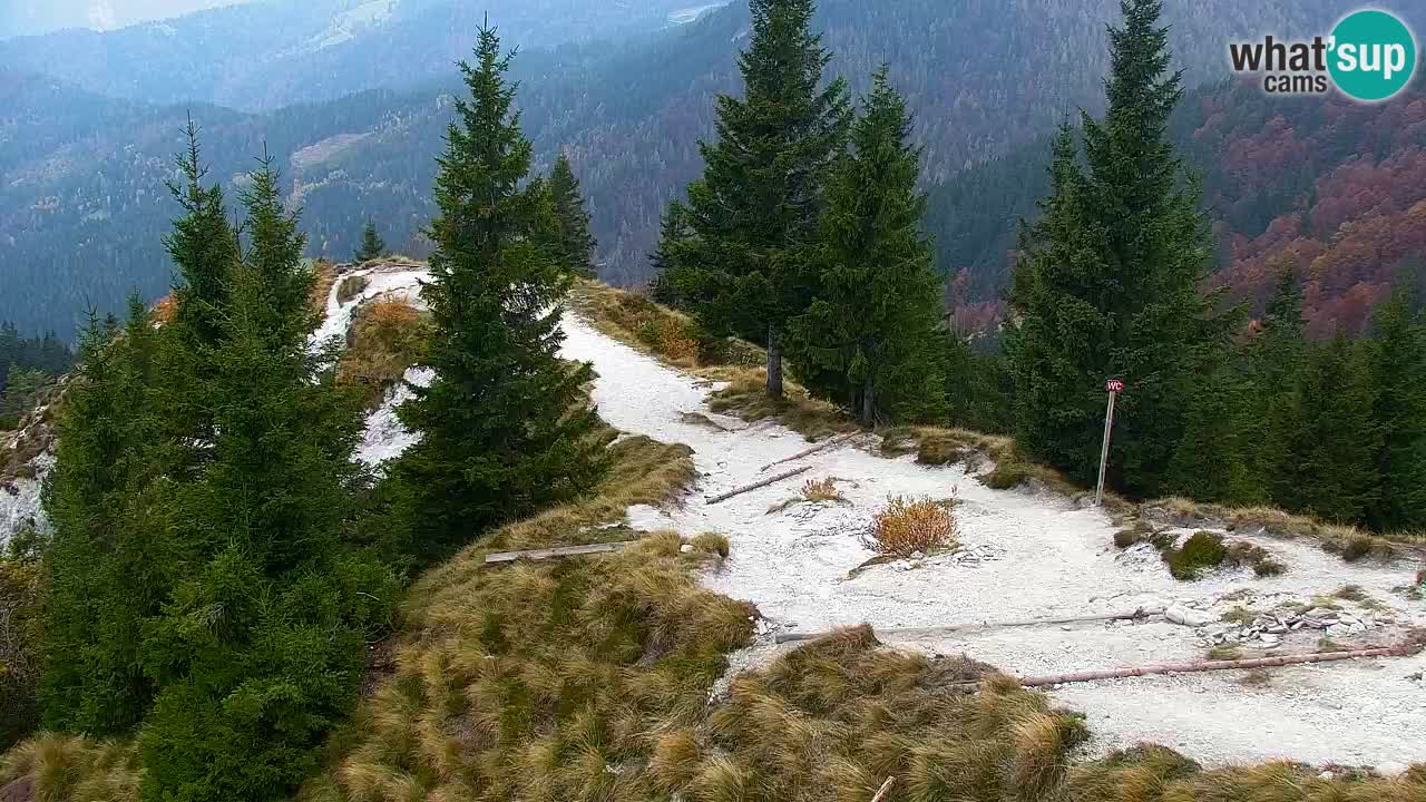 Webcam Koča na Golici (1582 m) – Slovenia