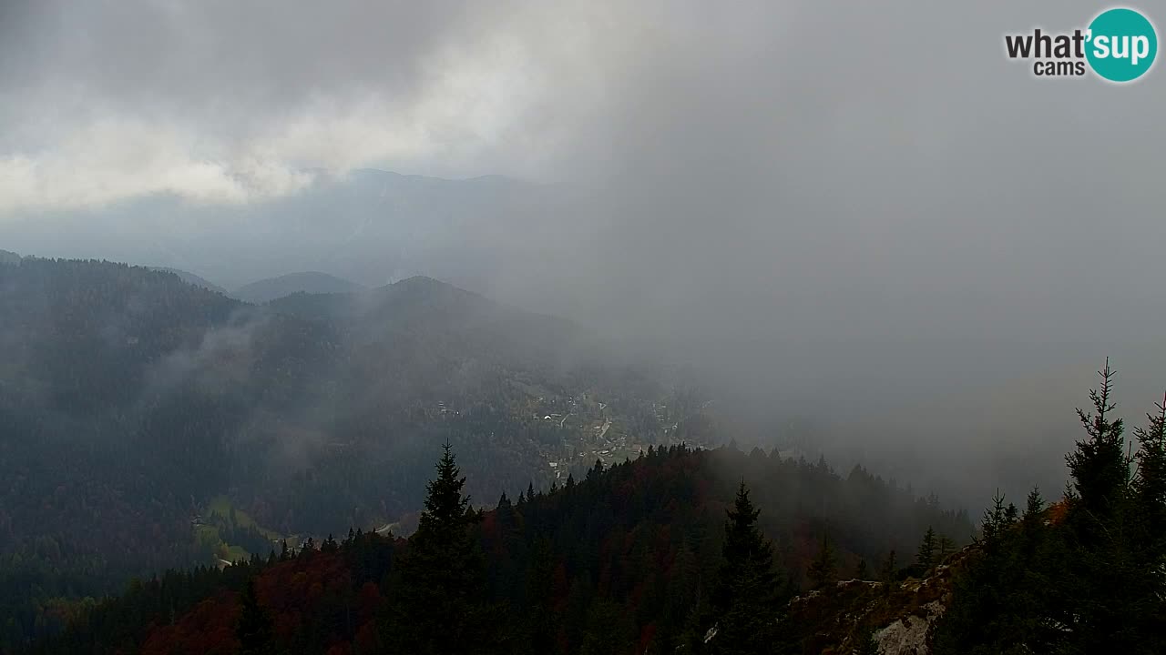 Koča na Golici Webcam (1582 m) – Slowenien