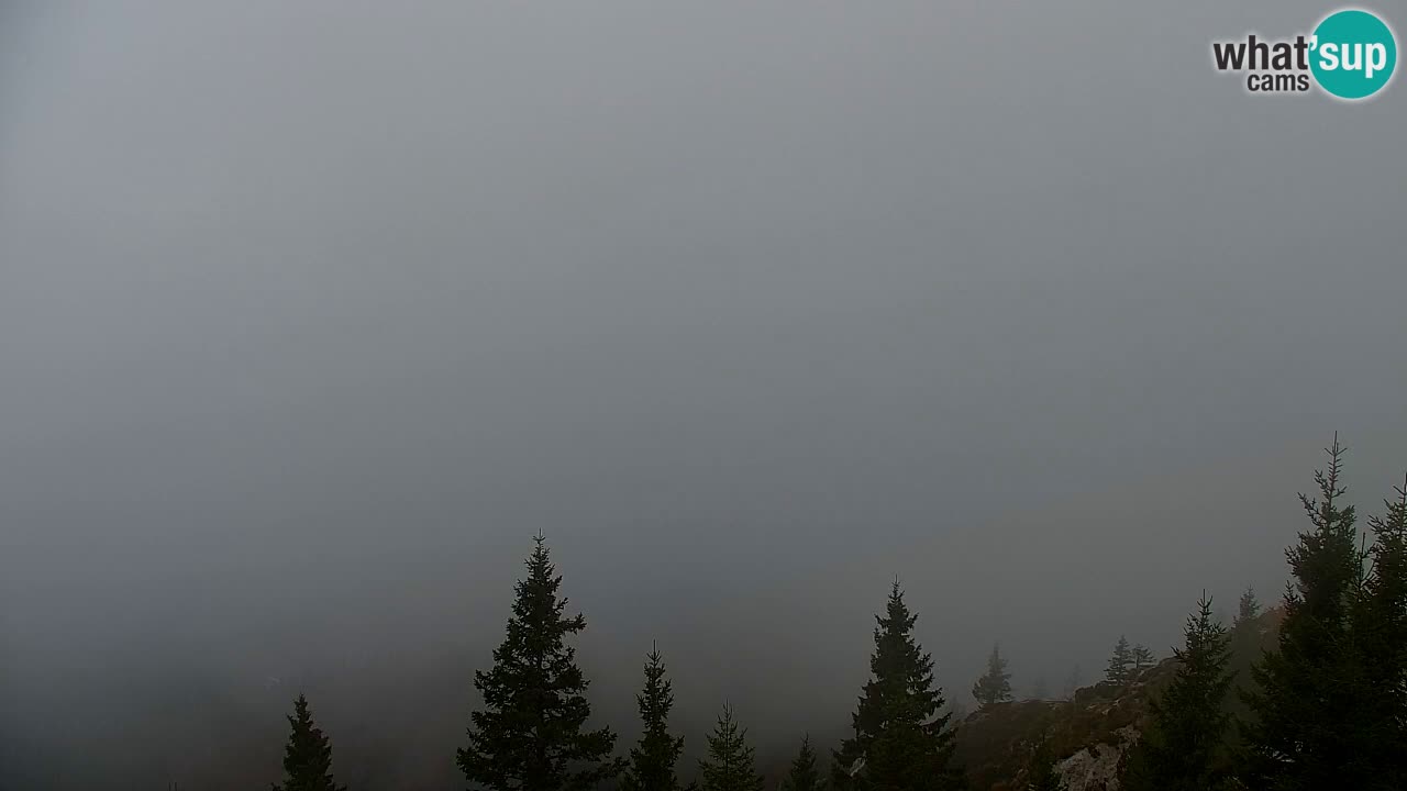 Web kamera Koča na Golici (1582 m) – Slovenija