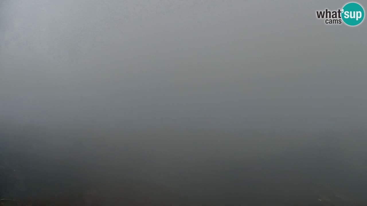 Web kamera Koča na Golici (1582 m) – Slovenija