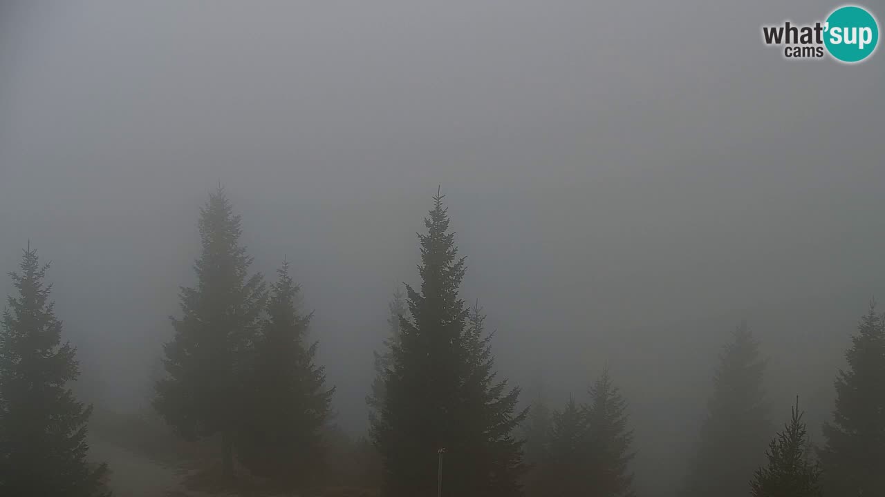 Webcam Koča na Golici (1582 m) – Slovenia
