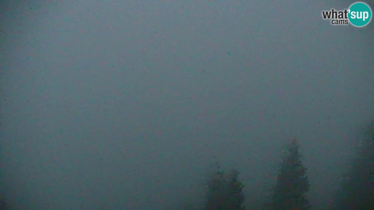 Webcam Koča na Golici (1582 m) – Slovenia
