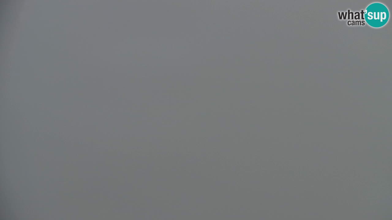 Webcam Koča na Golici (1582 m) – Slovenia