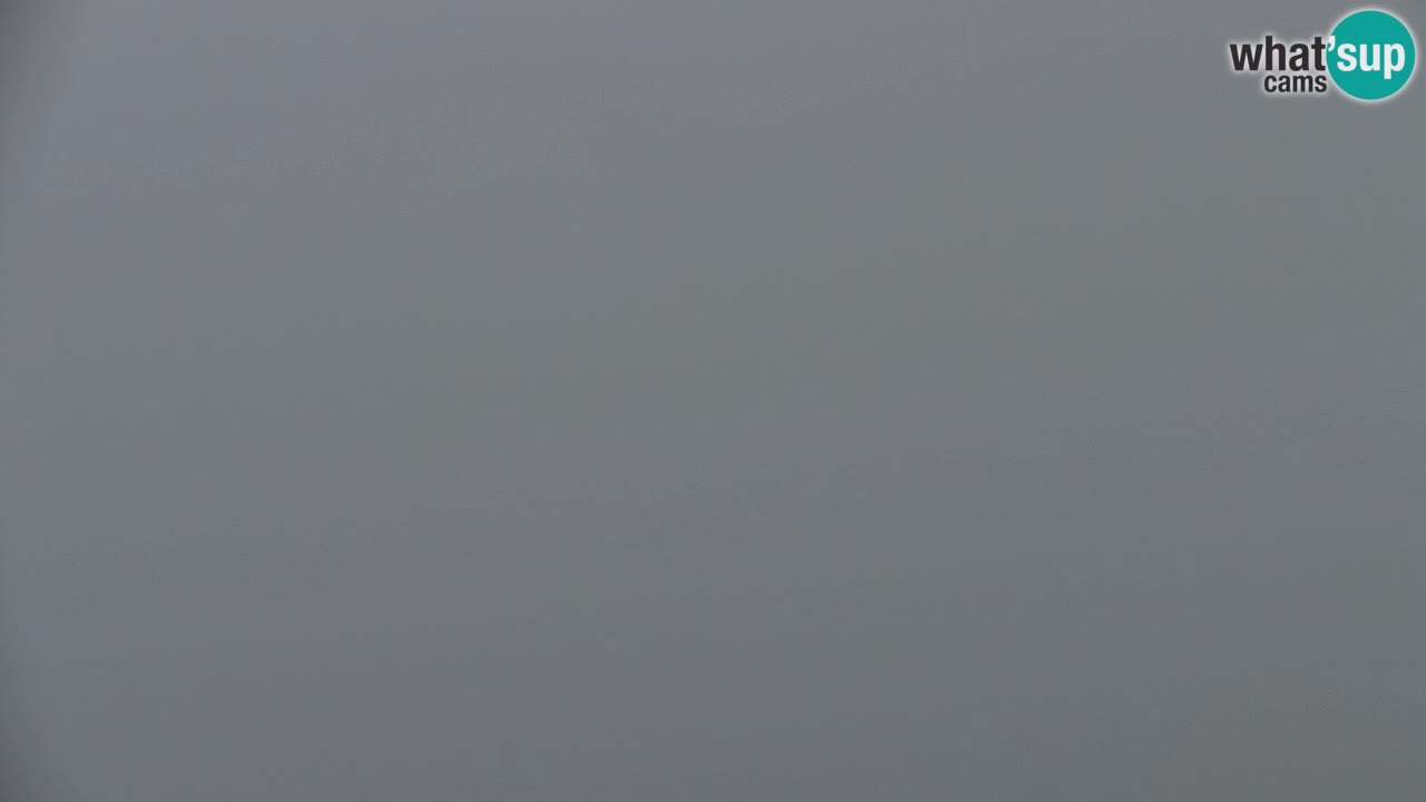 Webcam Koča na Golici (1582 m) – Slovenia