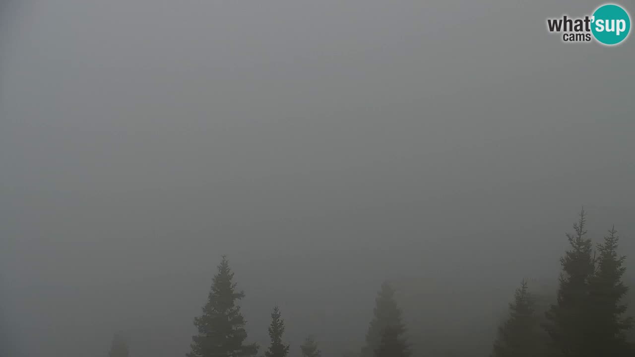 Koča na Golici Webcam (1582 m) – Slowenien