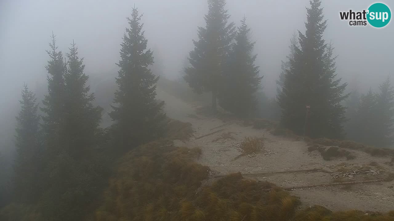 Spletna kamera Koča na Golici (1582 m) – Jesenice