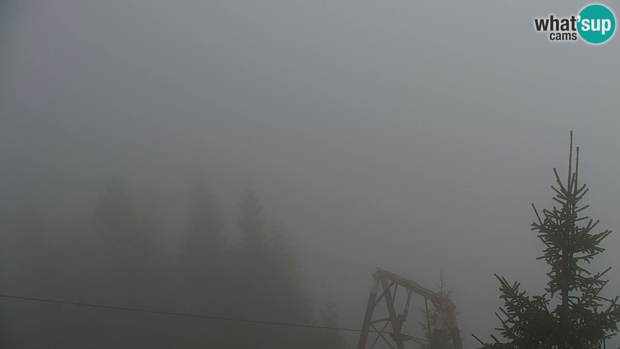 Web kamera Koča na Golici (1582 m) – Slovenija