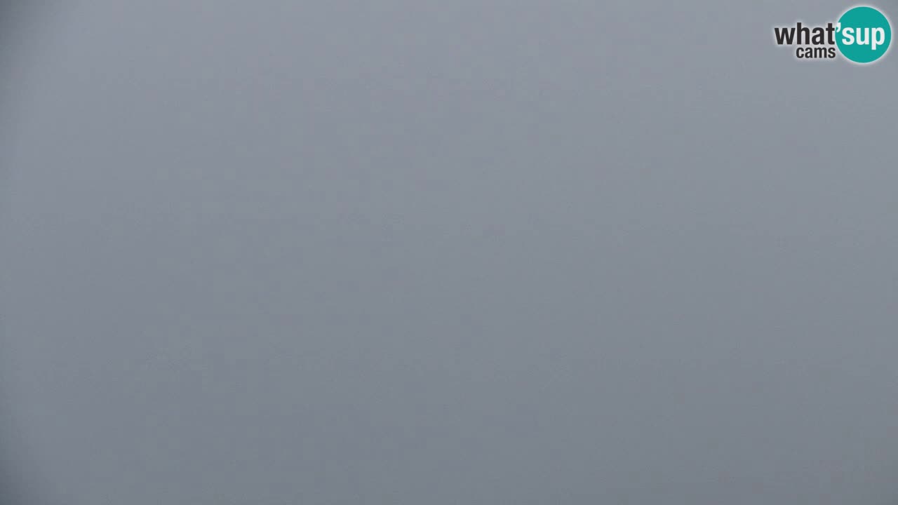 Koča na Golici Webcam (1582 m) – Slowenien
