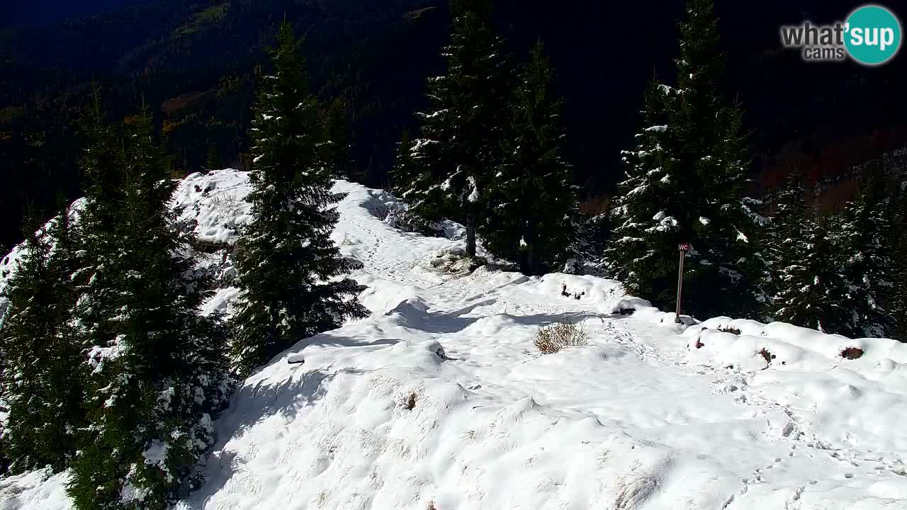 Webcam Chalet sur Golica (1582 m) – Slovénie