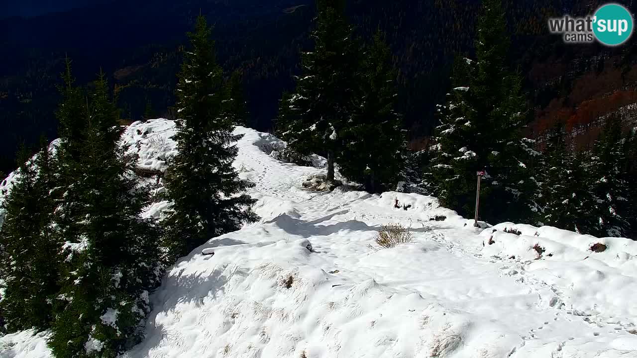 Koča na Golici Webcam (1582 m) – Slowenien