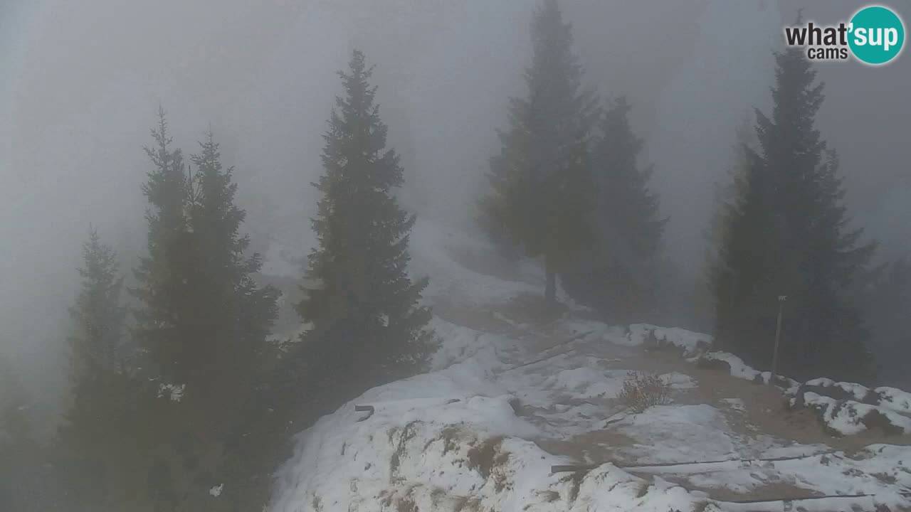 Webcam en Golica (1582 m) – Eslovenia