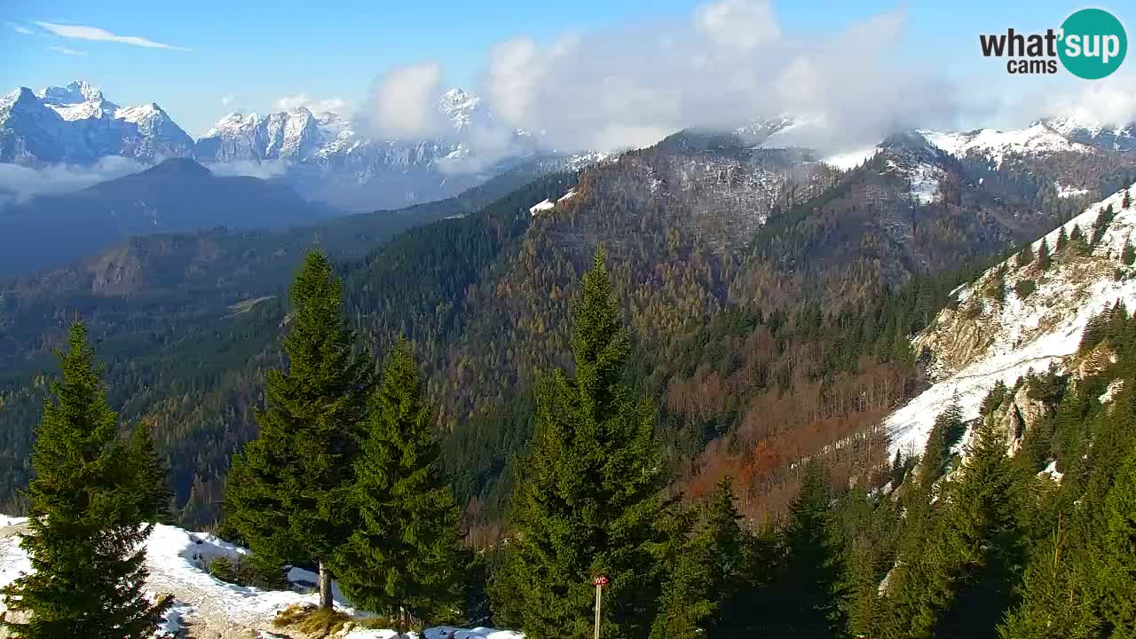 Koča na Golici Webcam (1582 m) – Slowenien