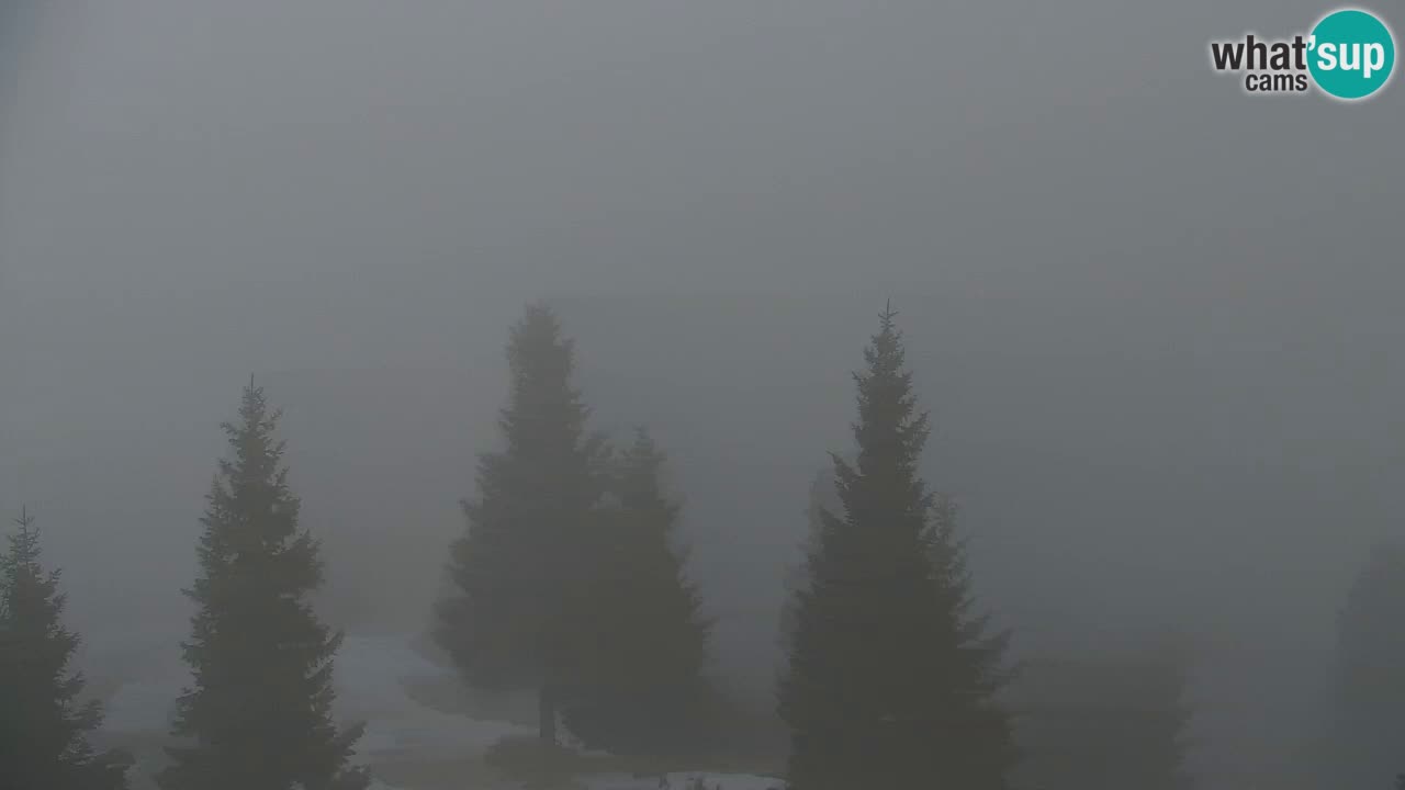 Web kamera Koča na Golici (1582 m) – Slovenija