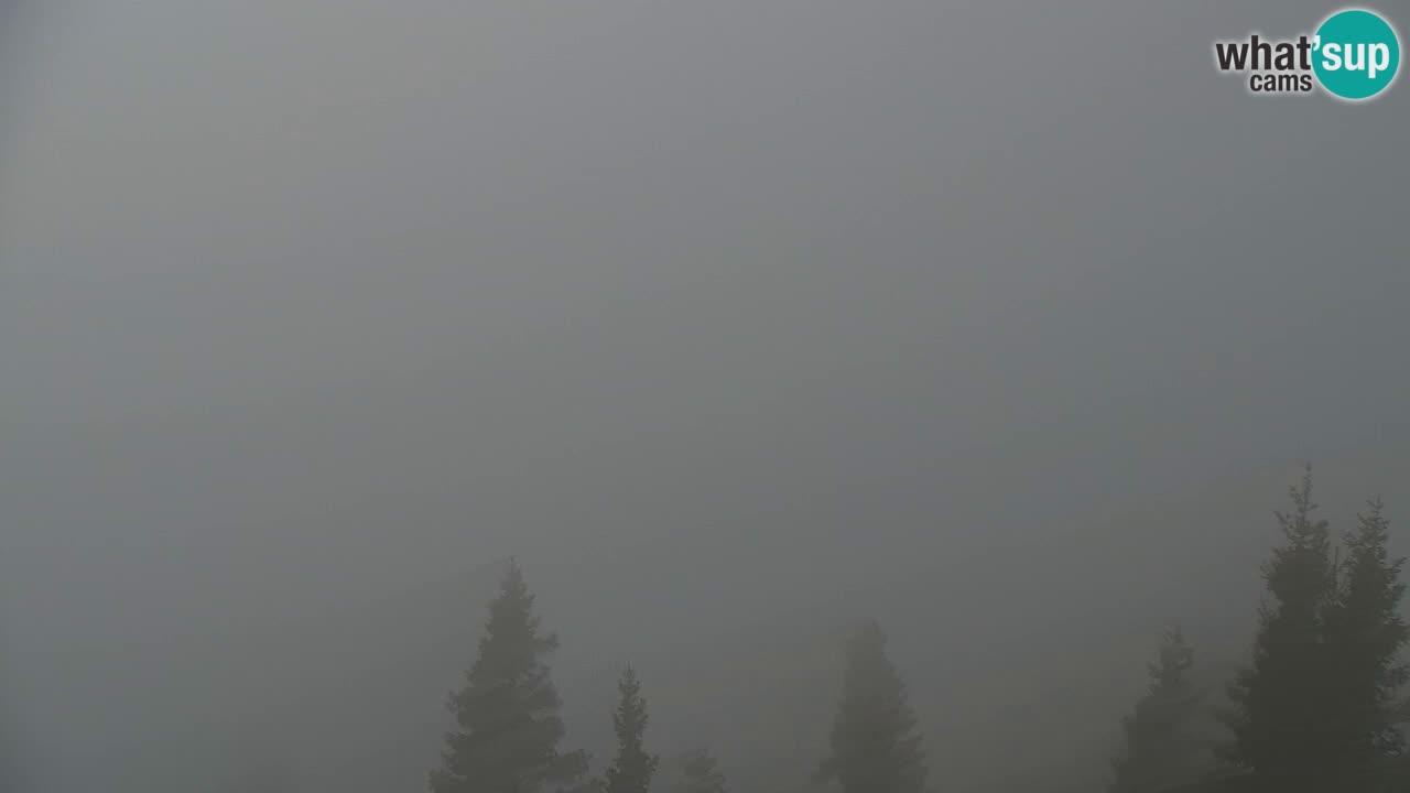 Webcam Koča na Golici (1582 m) – Slovenia
