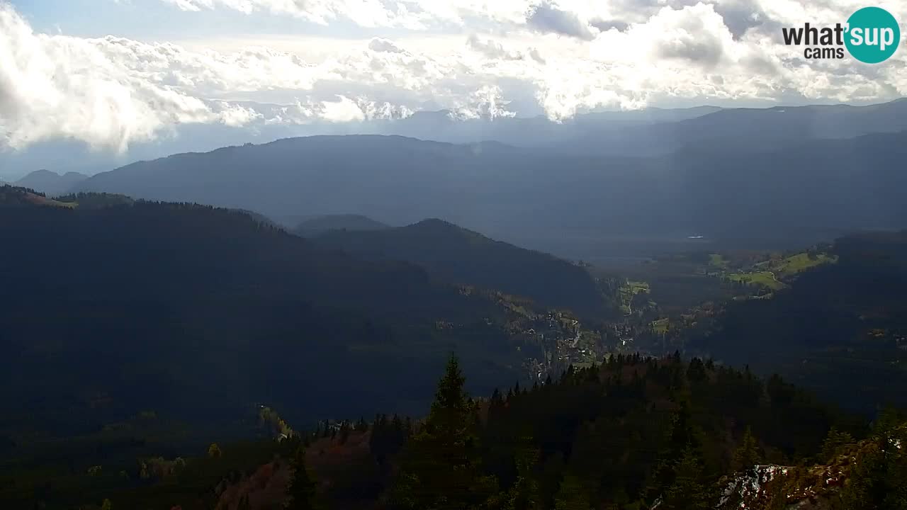 Webcam Koča na Golici (1582 m) – Slovenia