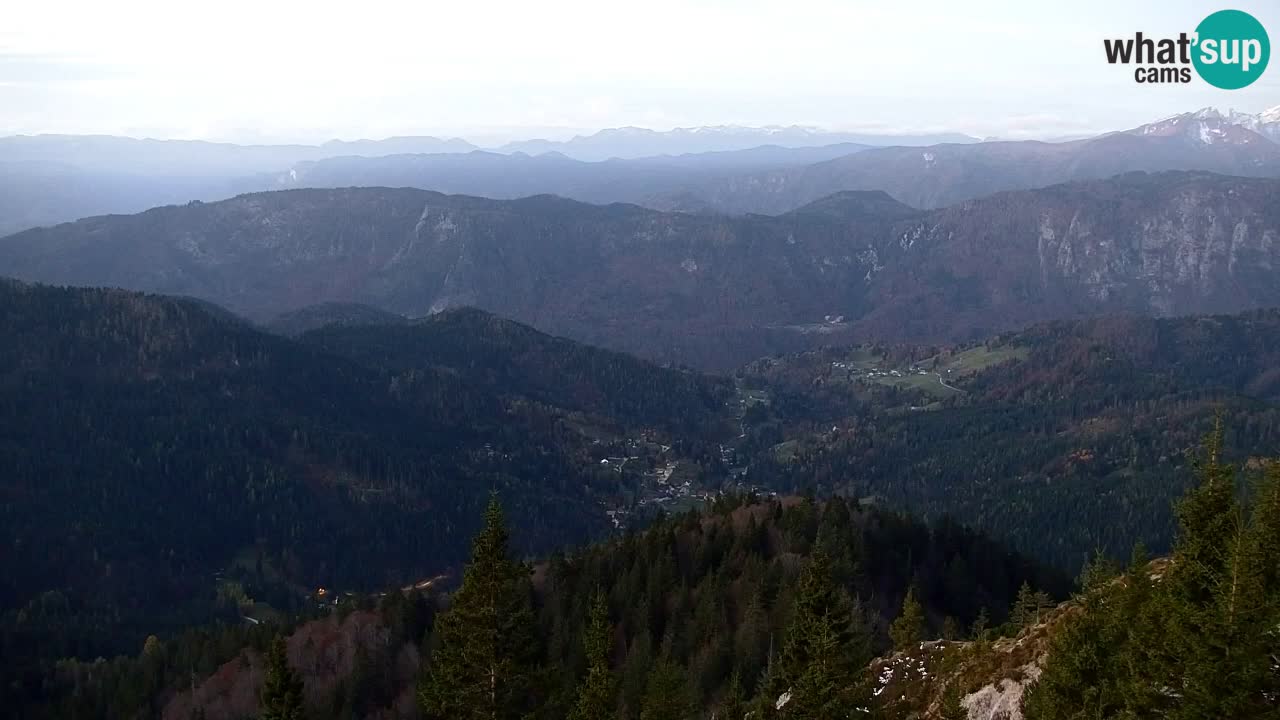 Koča na Golici Webcam (1582 m) – Slowenien