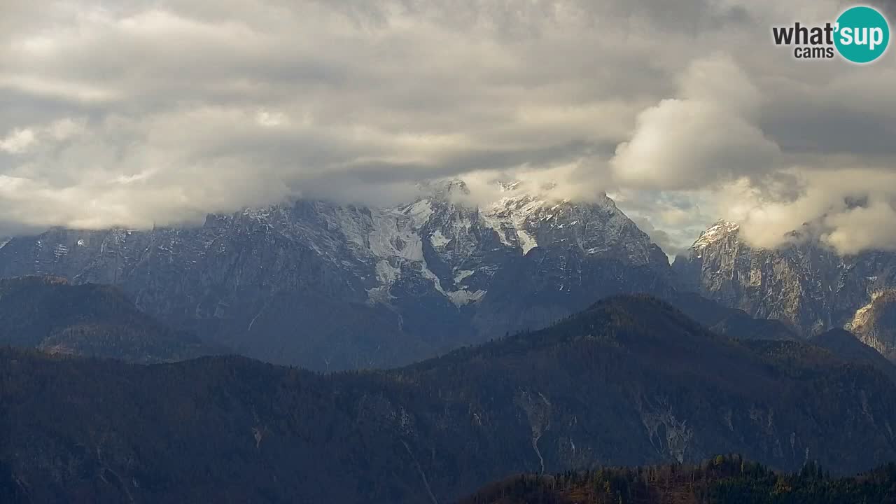 Koča na Golici Webcam (1582 m) – Slowenien