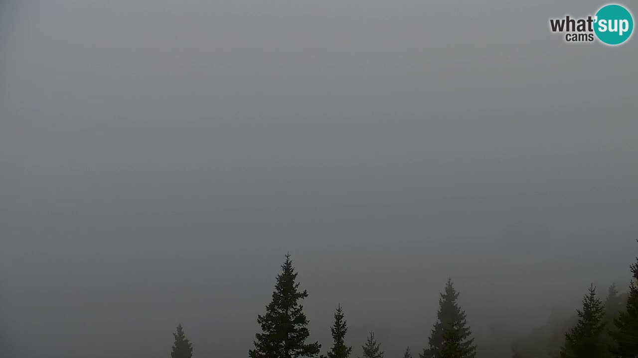 Koča na Golici Webcam (1582 m) – Slowenien