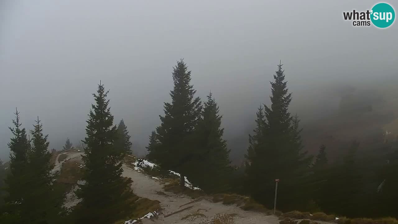Spletna kamera Koča na Golici (1582 m) – Jesenice