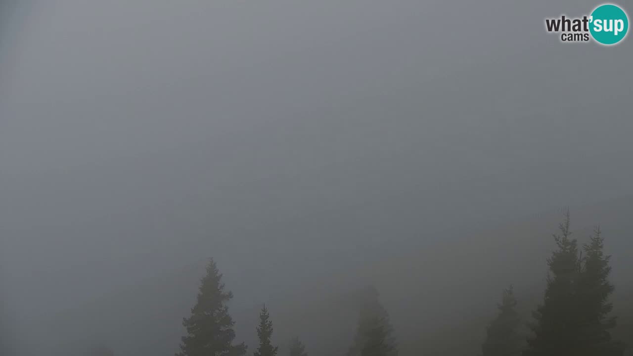 Webcam Koča na Golici (1582 m) – Slovenia