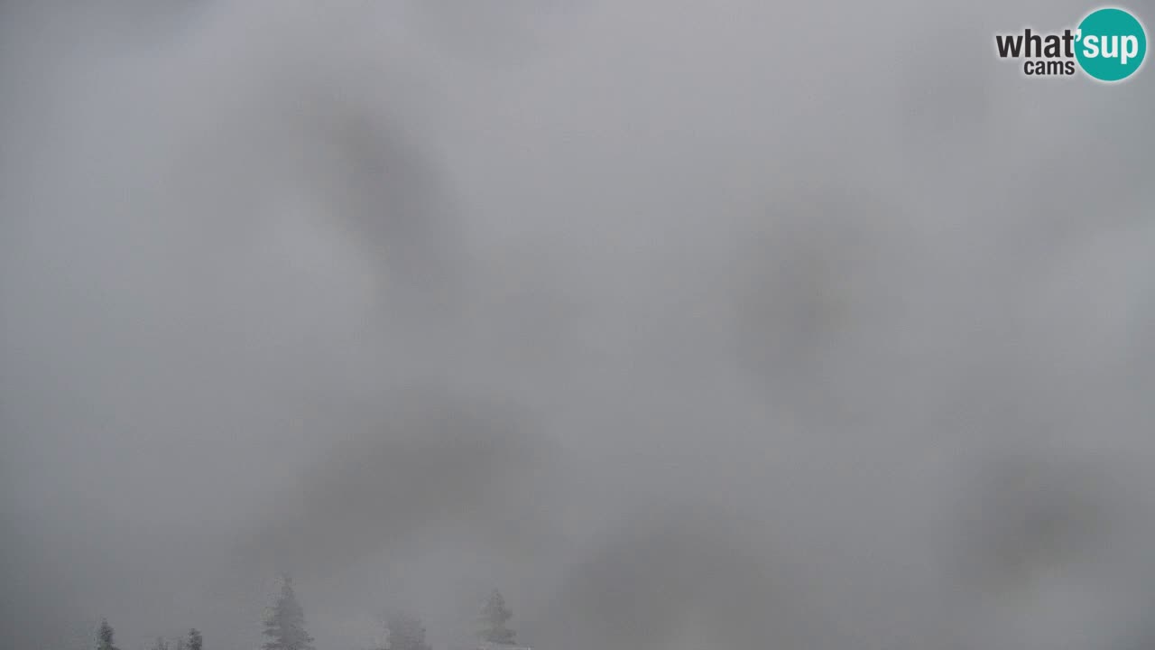 Webcam na Golici – Baita di montagna (1582 m) – Slovenia