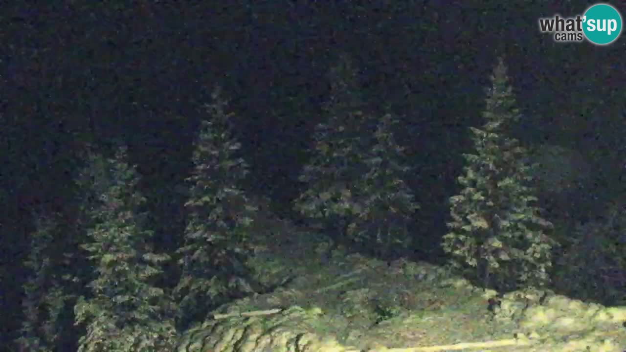 Spletna kamera Koča na Golici (1582 m) – Jesenice
