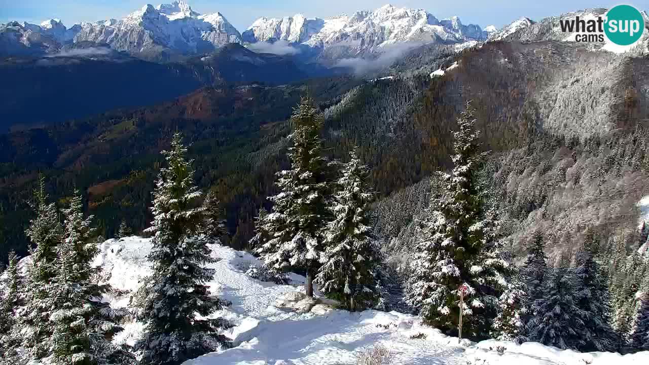 Webcam na Golici – Baita di montagna (1582 m) – Slovenia