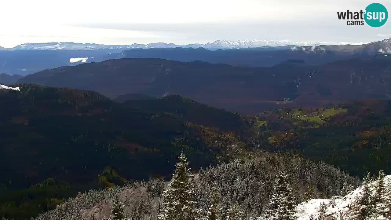 Koča na Golici Webcam (1582 m) – Slowenien