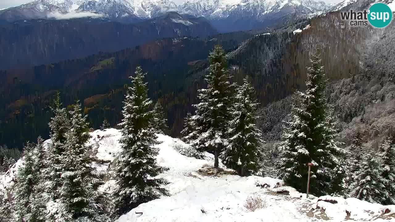 Webcam na Golici – Baita di montagna (1582 m) – Slovenia