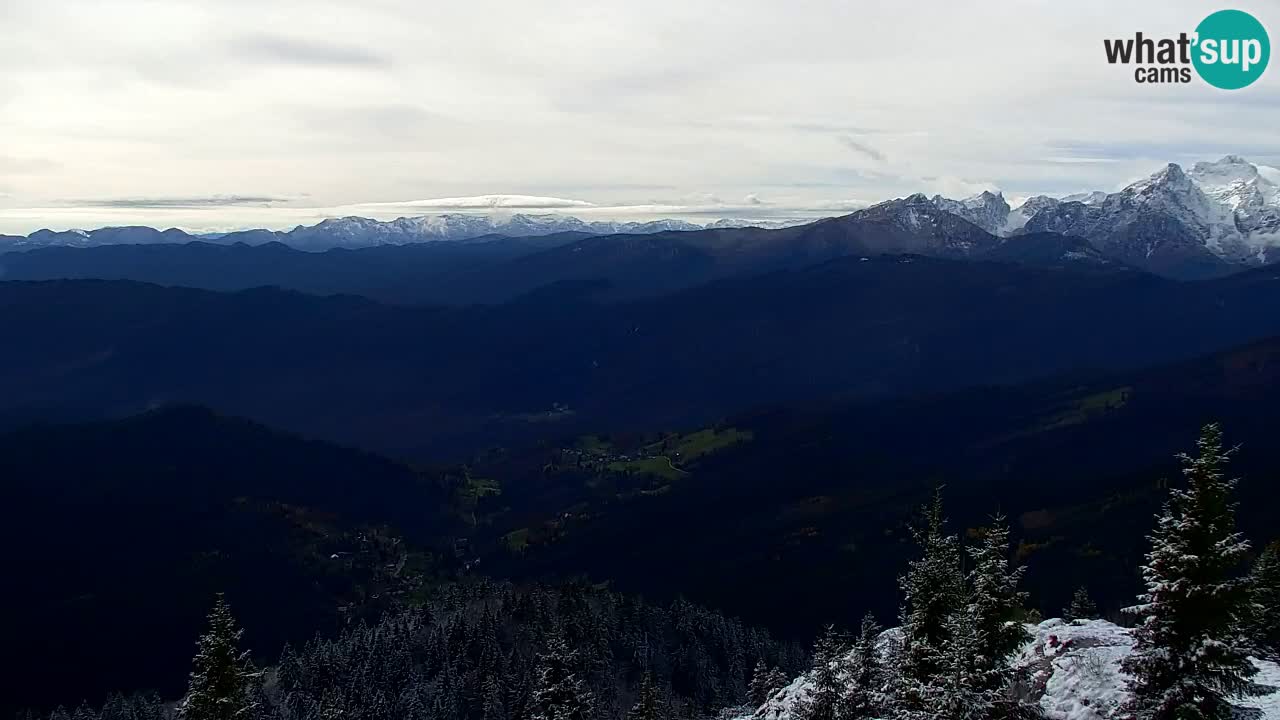 Webcam Koča na Golici (1582 m) – Slovenia