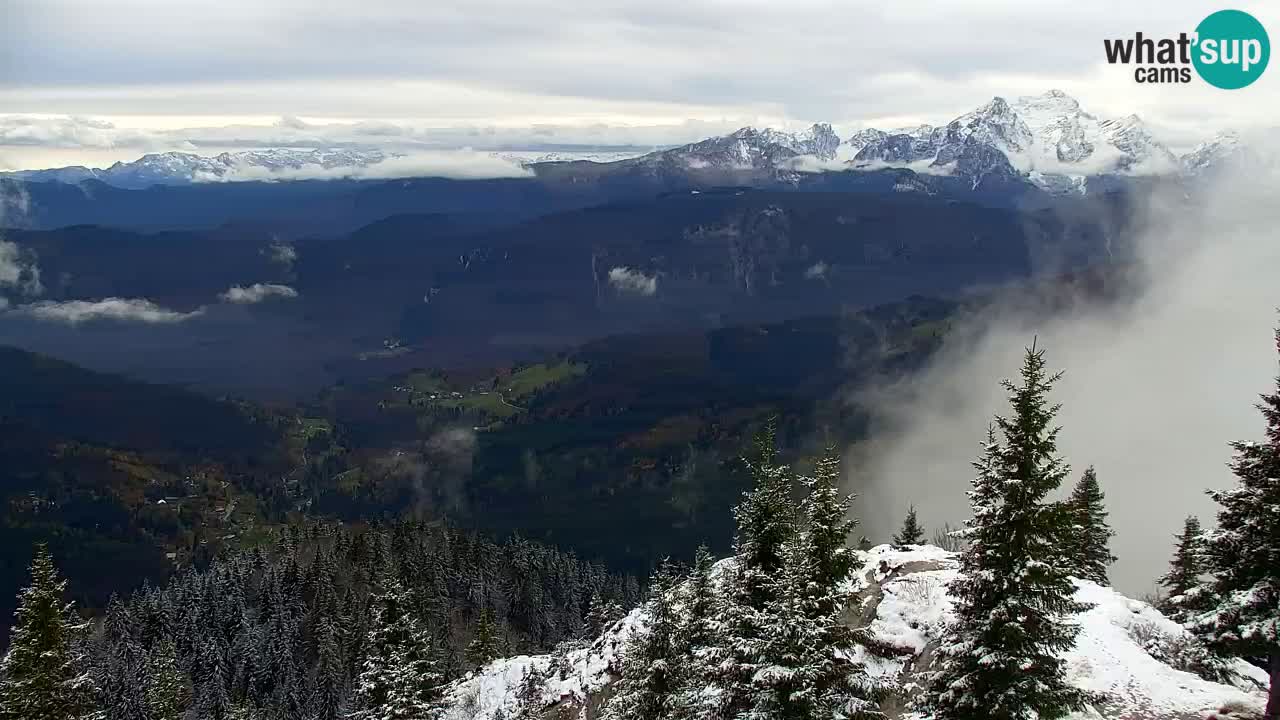 Koča na Golici Webcam (1582 m) – Slowenien