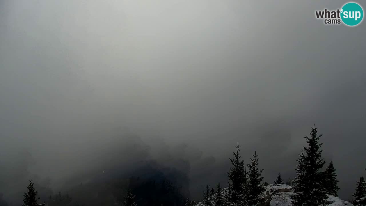 Webcam na Golici – Baita di montagna (1582 m) – Slovenia