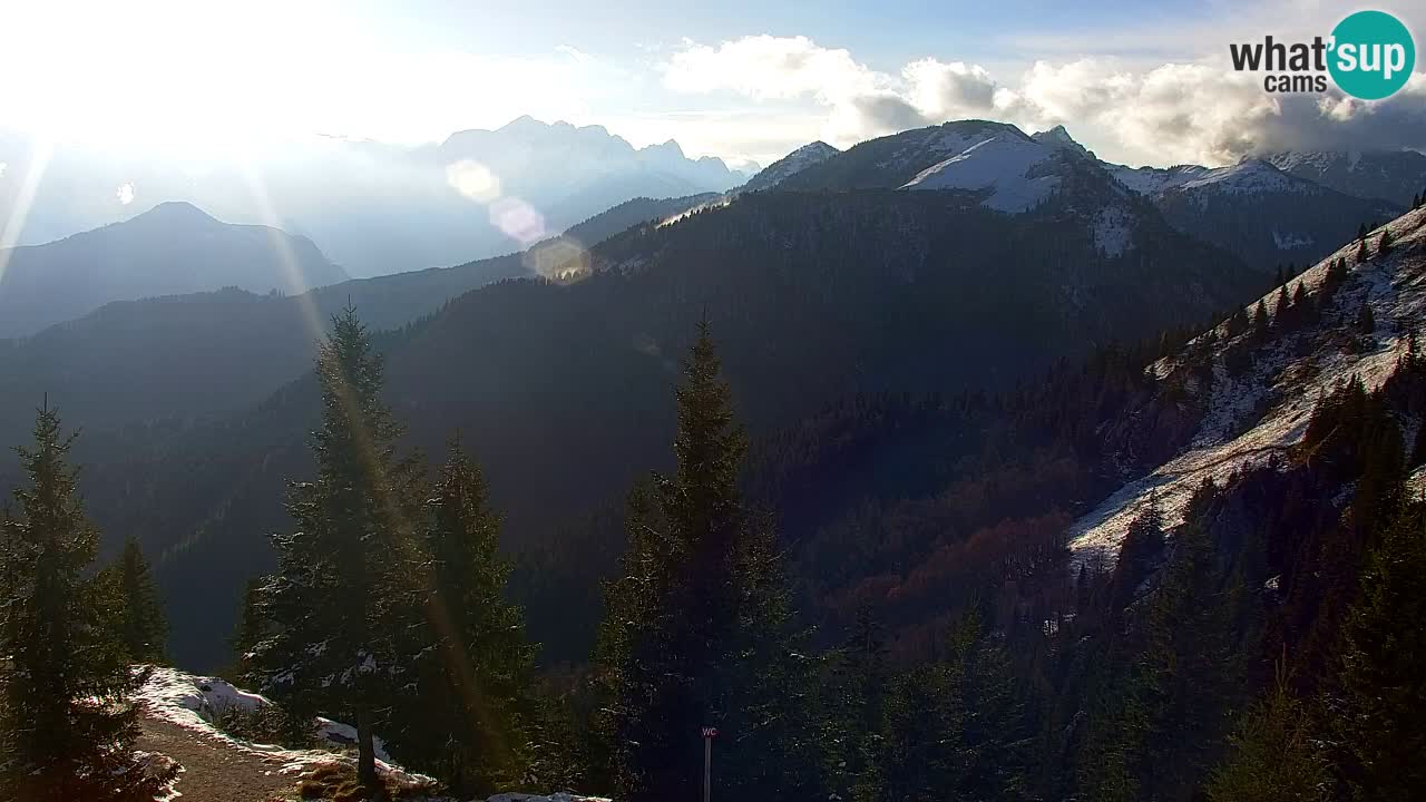 Webcam Koča na Golici (1582 m) – Slovenia