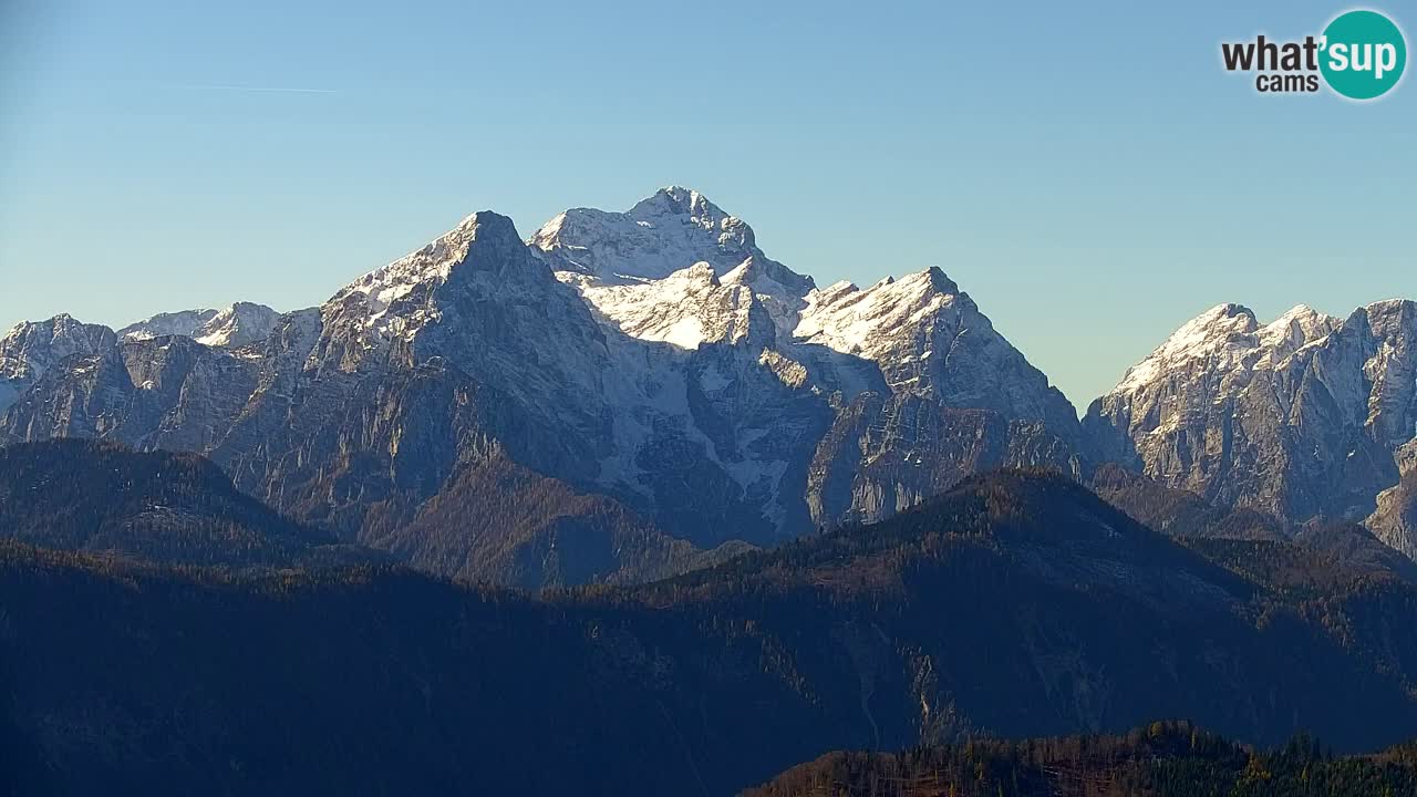 Web kamera Koča na Golici (1582 m) – Slovenija