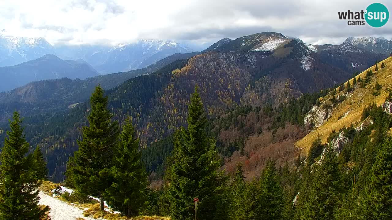 Webcam Koča na Golici (1582 m) – Slovenia