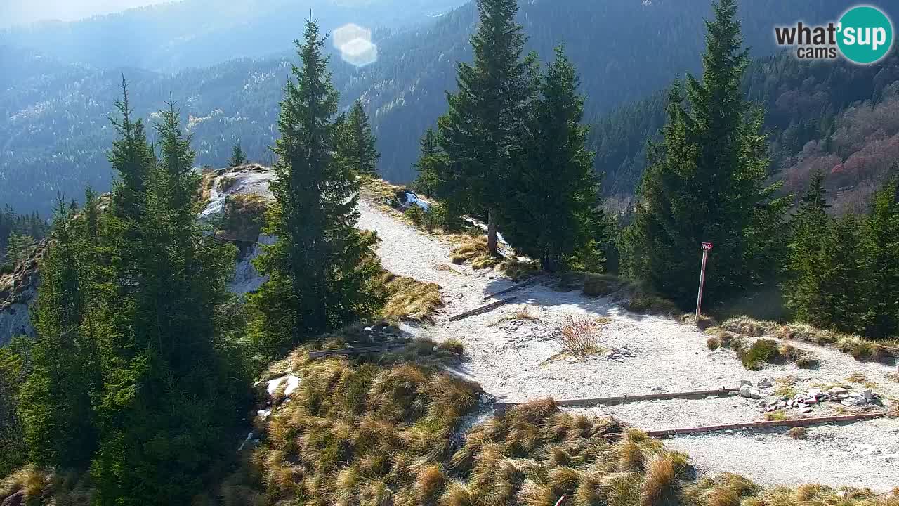Koča na Golici Webcam (1582 m) – Slowenien