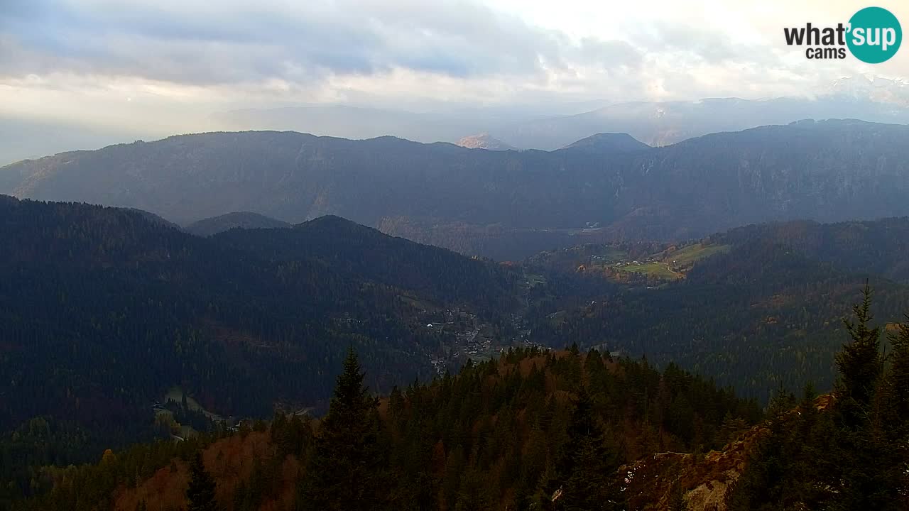 Web kamera Koča na Golici (1582 m) – Slovenija